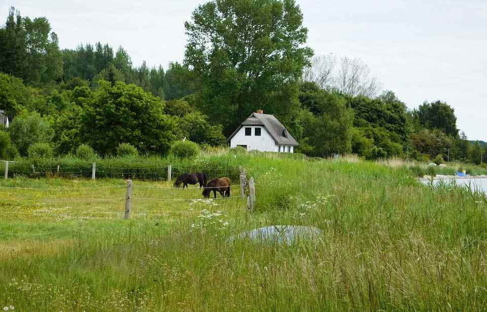 Zentralrügen bei Putbus